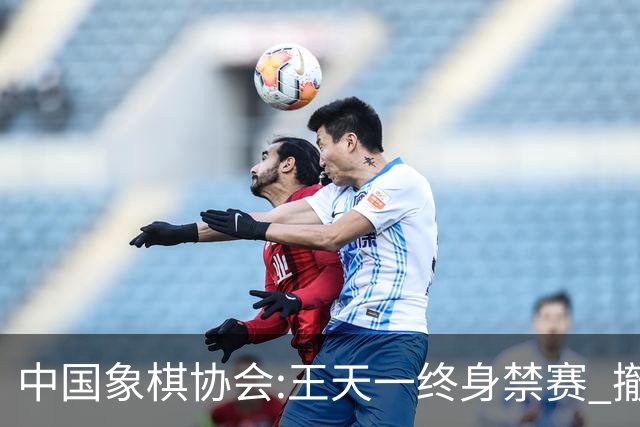 中国象棋协会:王天一终身禁赛 撤销特大等称号
